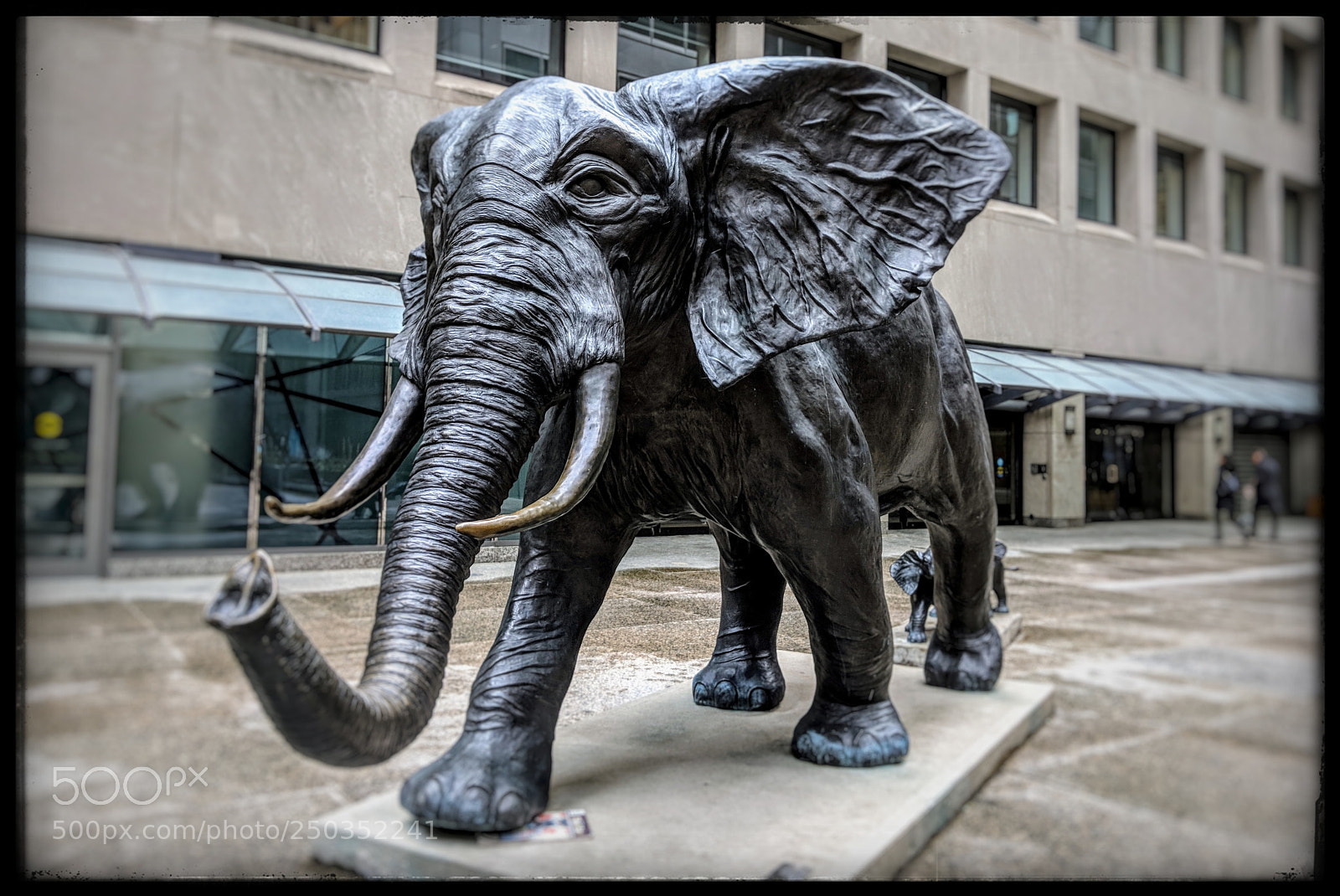 Google Pixel 2 XL sample photo. Elephants of toronto photography