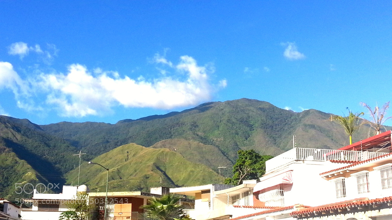 Samsung Galaxy S3 sample photo. Untitled photography