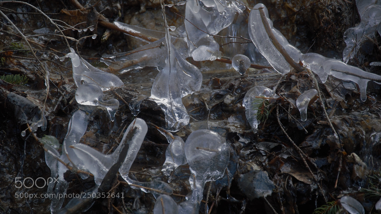Nikon D3200 sample photo. Untitled photography