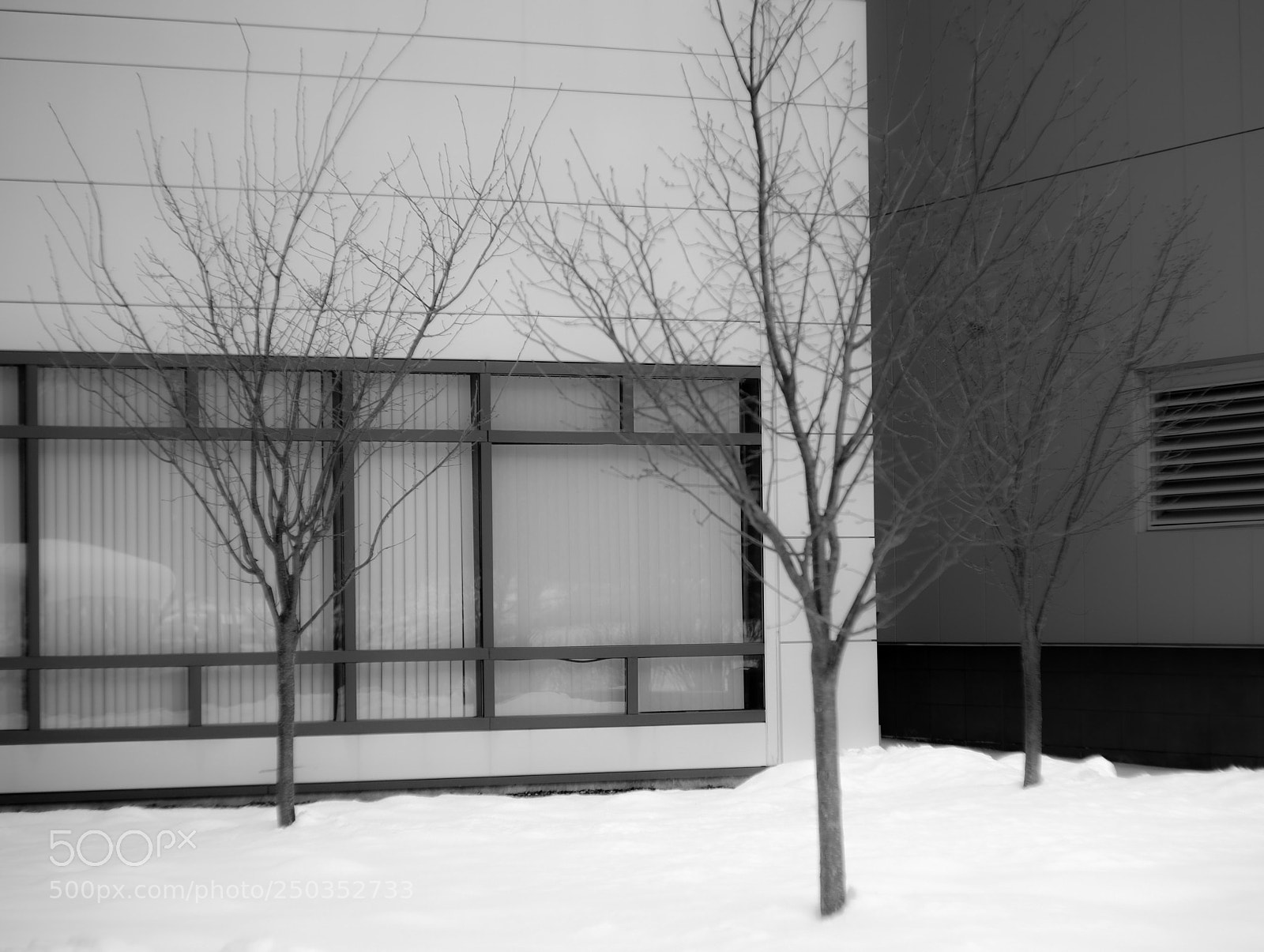 Fujifilm X-E2S sample photo. Building trees photography