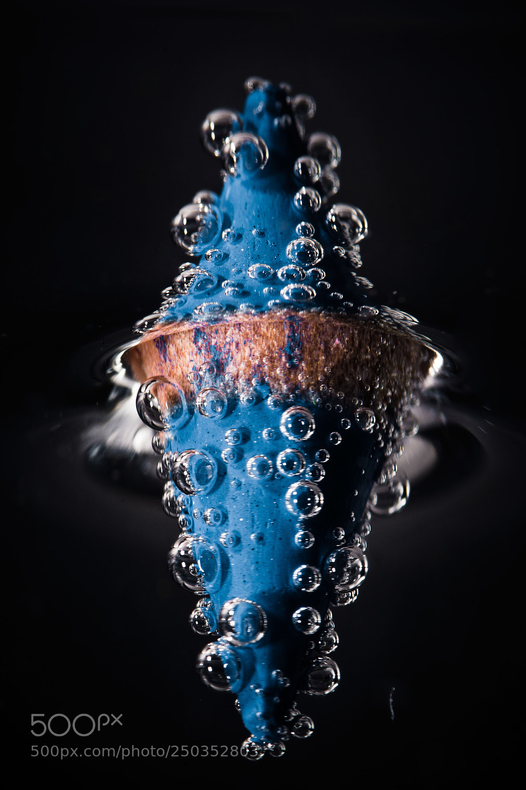Nikon D7100 sample photo. Mirroring the illusion photography