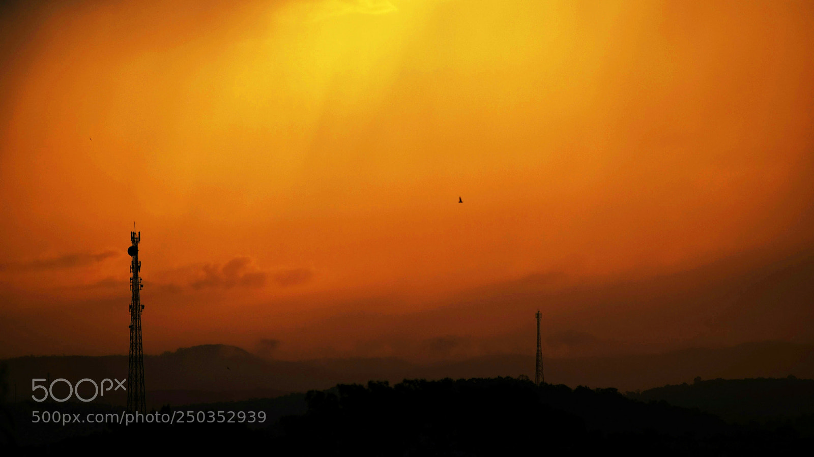 Nikon D5300 sample photo. ... photography