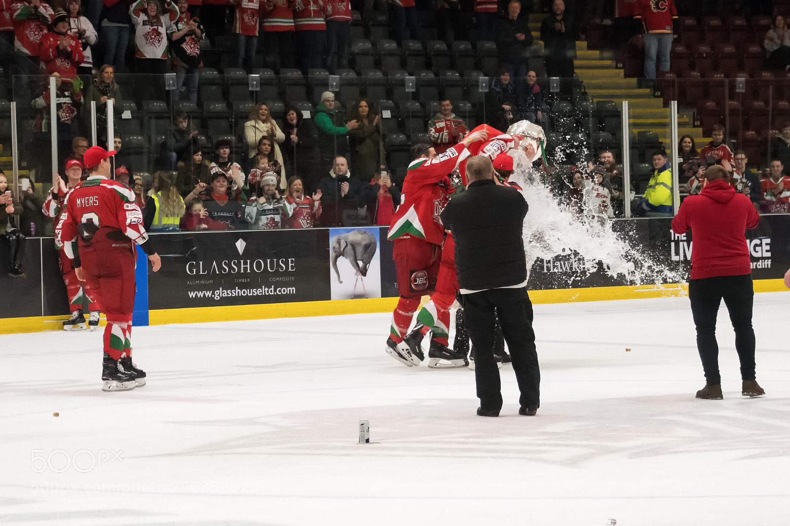 Nikon D500 sample photo. Cardiff devils - elite photography