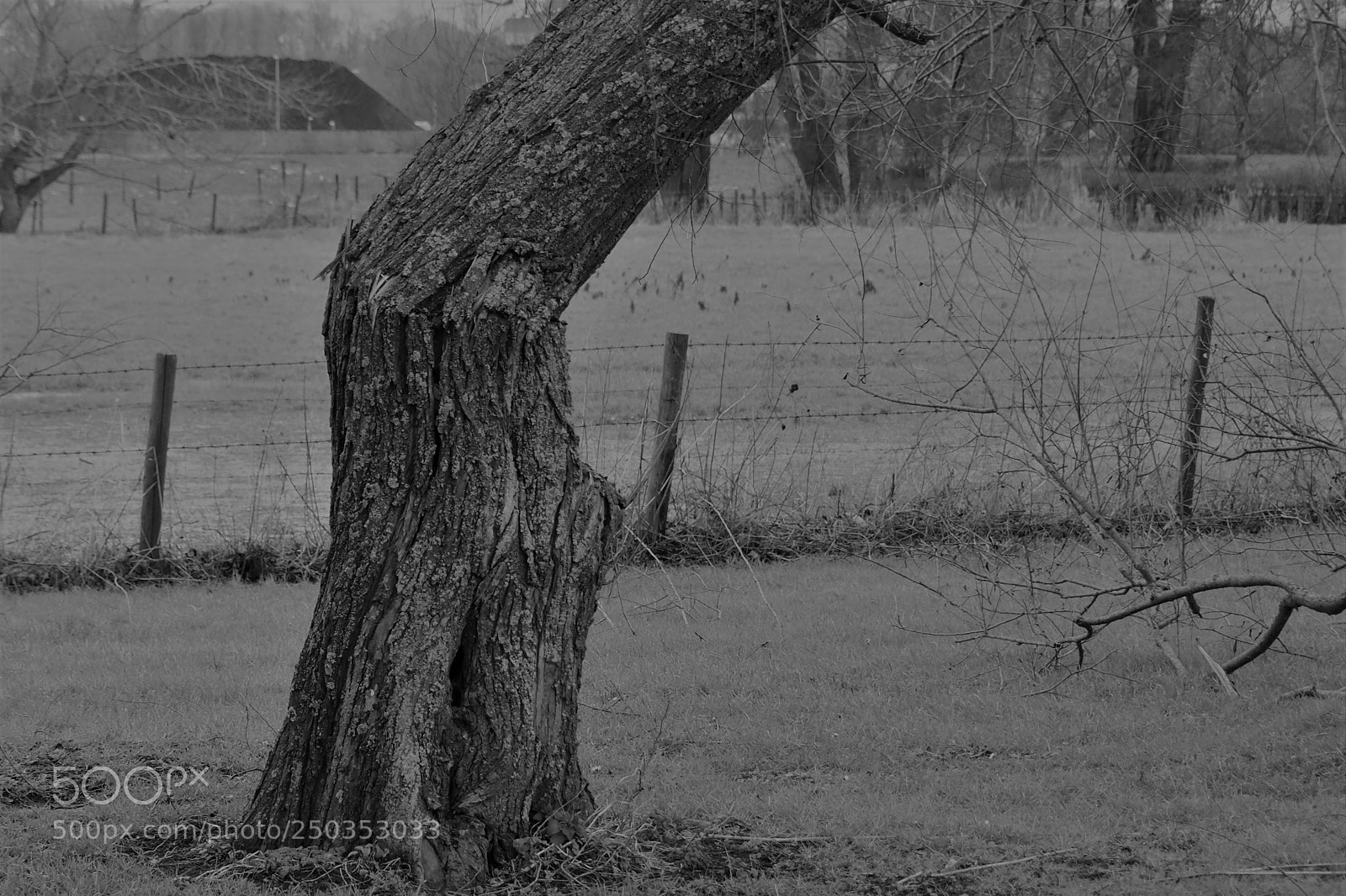 Olympus OM-D E-M10 II sample photo. Olympus digital camera photography