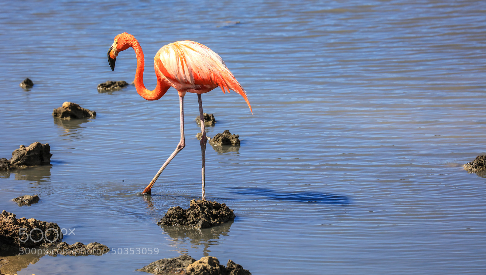 Canon EOS 5DS R sample photo. Curacao 7 photography