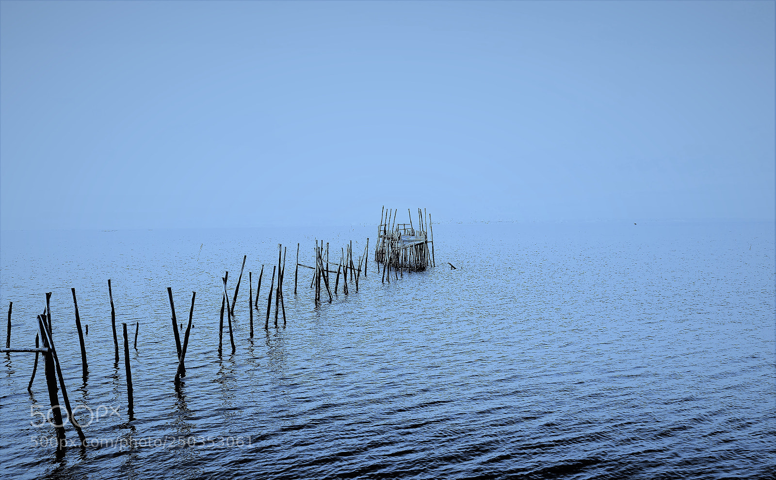 Canon EOS 100D (EOS Rebel SL1 / EOS Kiss X7) sample photo. Carrasqueira photography