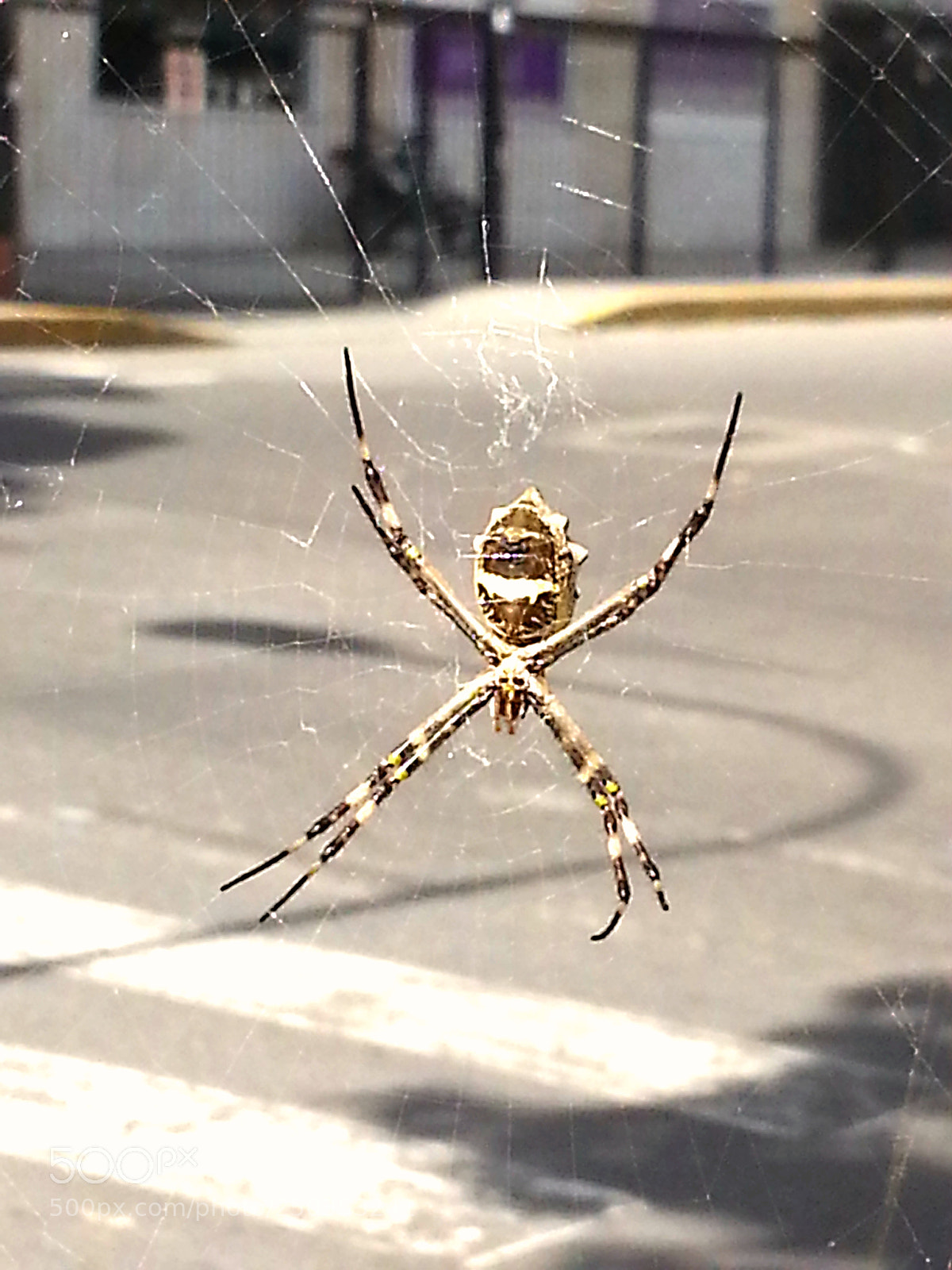 Samsung Galaxy S3 sample photo. Untitled photography