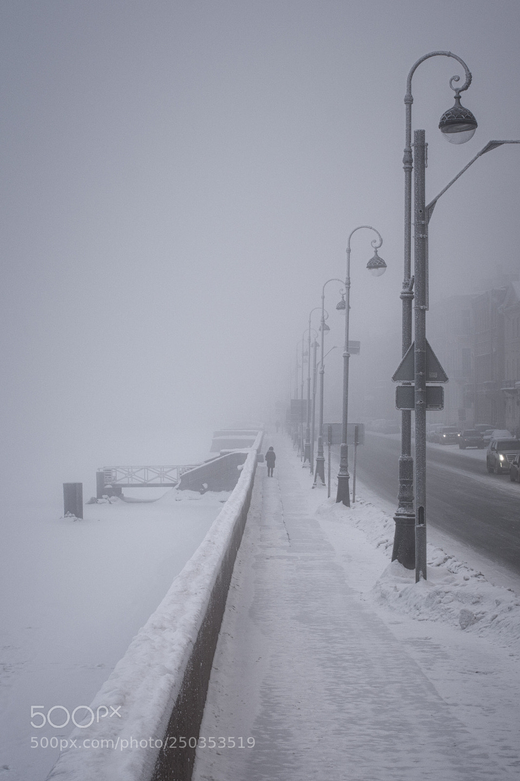 Nikon D7100 sample photo. Into the fog photography