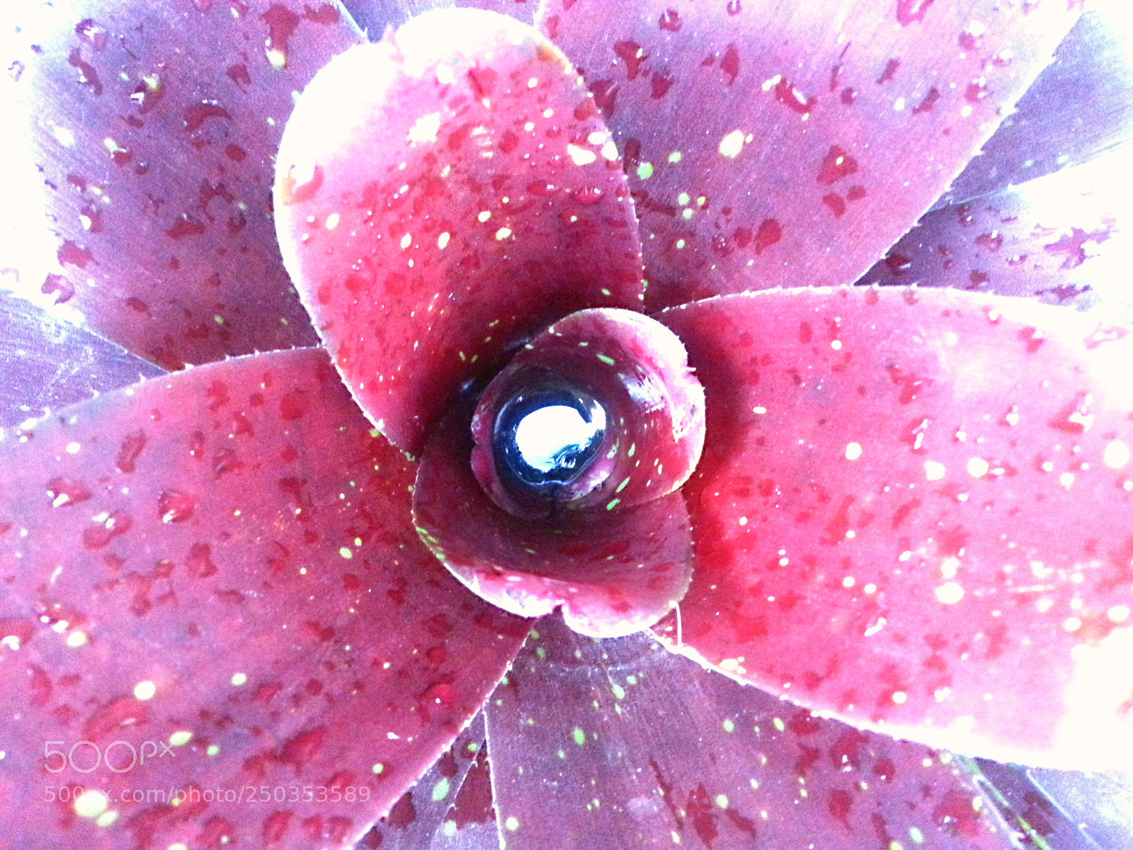 Samsung Galaxy S3 sample photo. Untitled photography