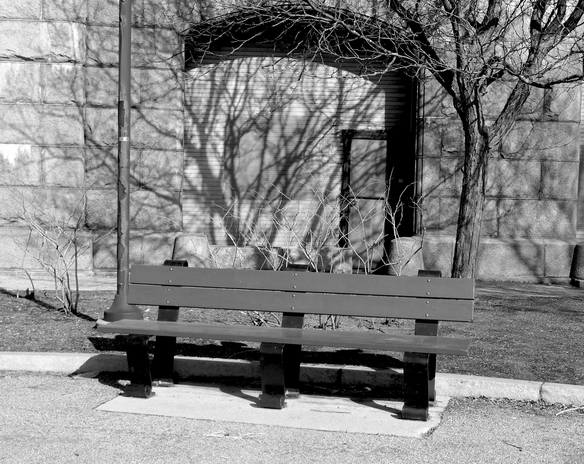 Panasonic Lumix DMC-ZS100 (Lumix DMC-TZ100) sample photo. A park bench on a sunny day photography
