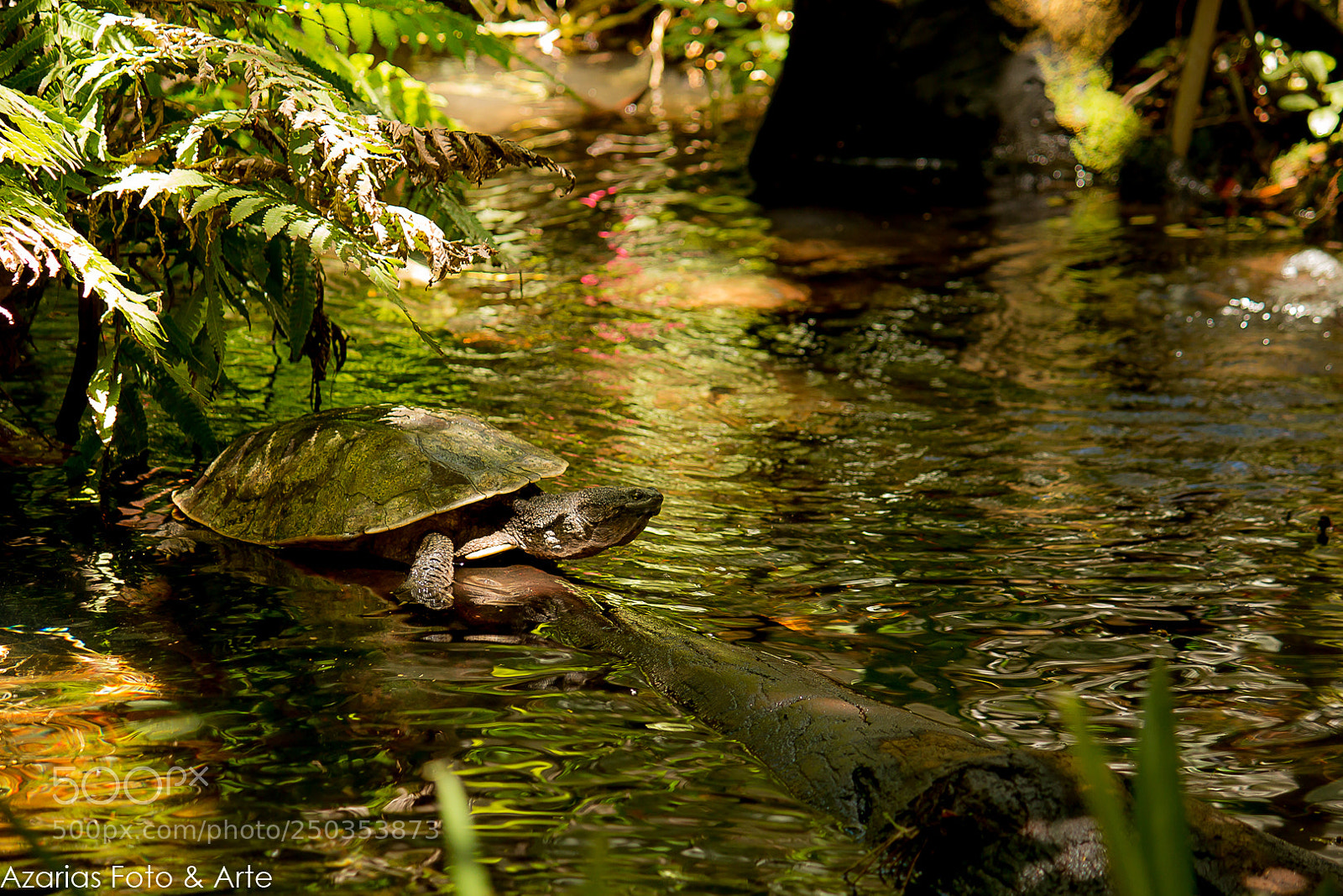 Canon EOS 70D sample photo. Untitled photography