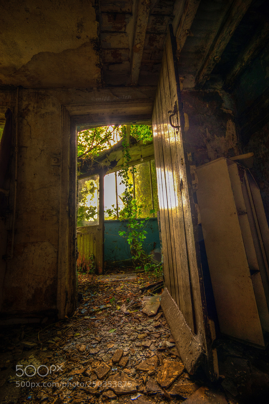 Nikon D5500 sample photo. Abandoned farmhouse uk photography