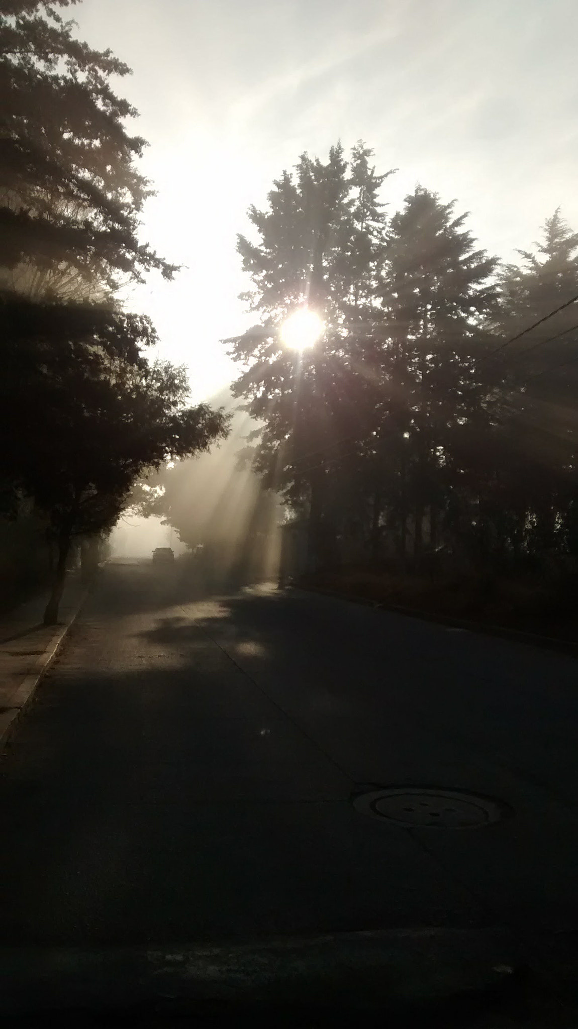 Motorola XT1032 sample photo