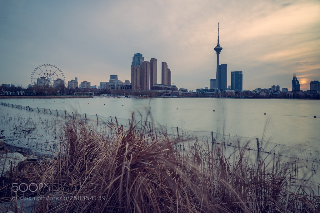 Canon EOS 6D Mark II sample photo. Cloudy morning photography