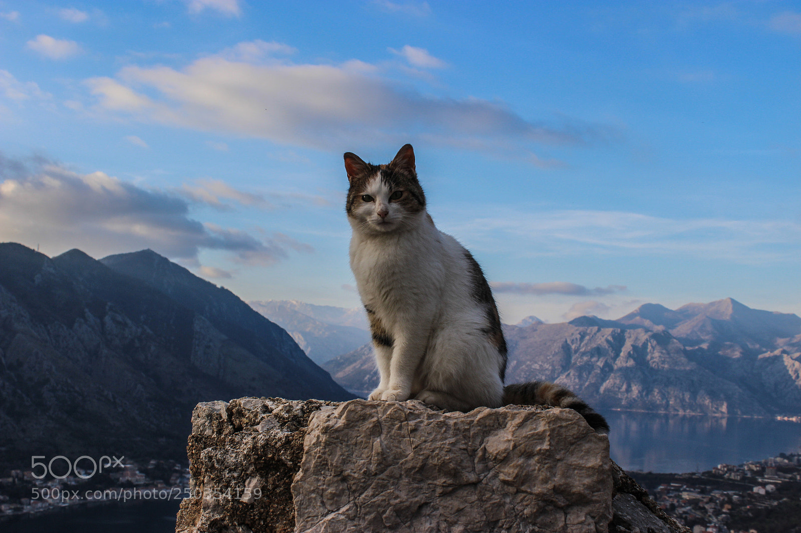 Canon EOS 100D (EOS Rebel SL1 / EOS Kiss X7) sample photo. Queen of montenegro photography