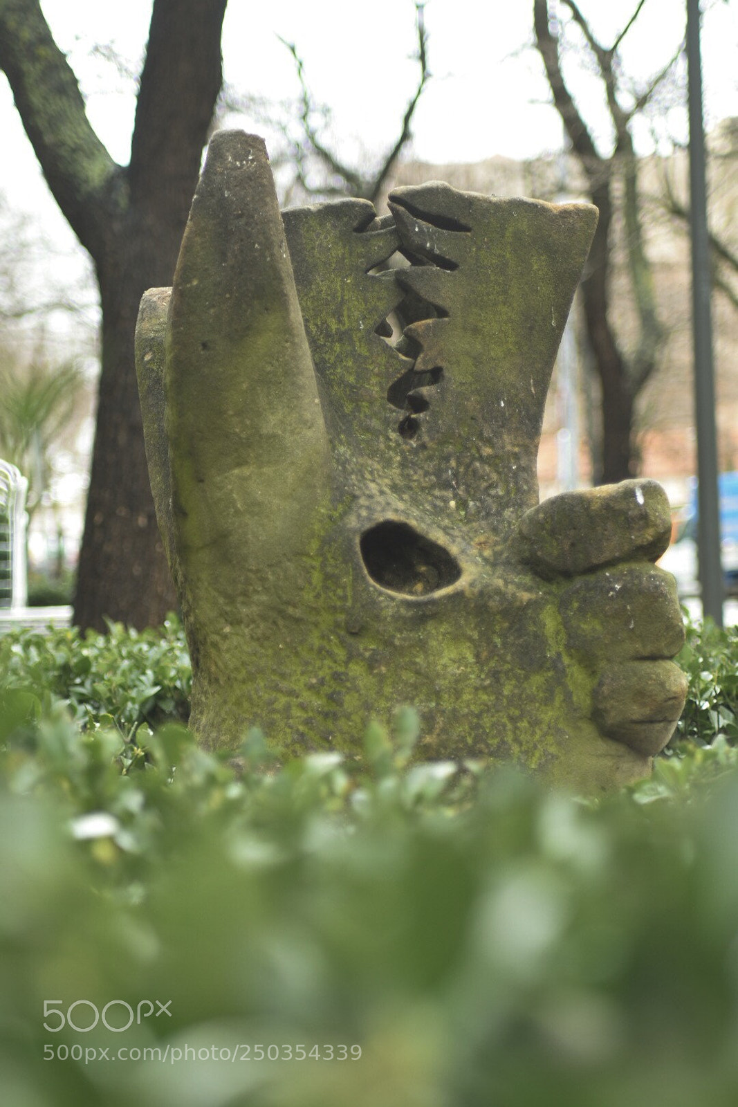 Nikon D7200 sample photo. Untitled photography