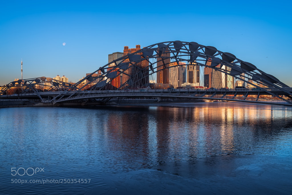 Canon EOS 6D Mark II sample photo. Bridge photography