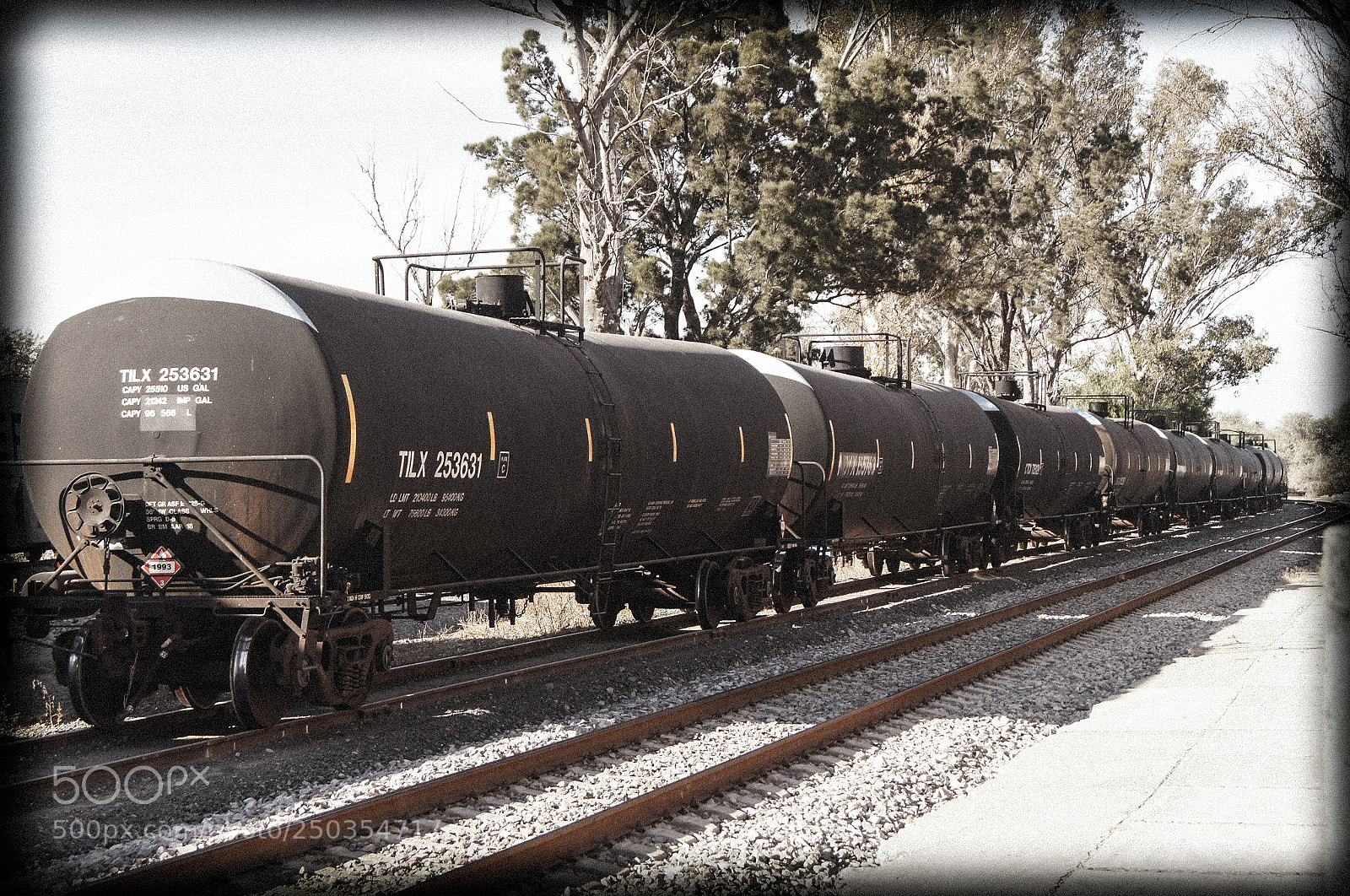 Sony SLT-A35 sample photo. Train photography