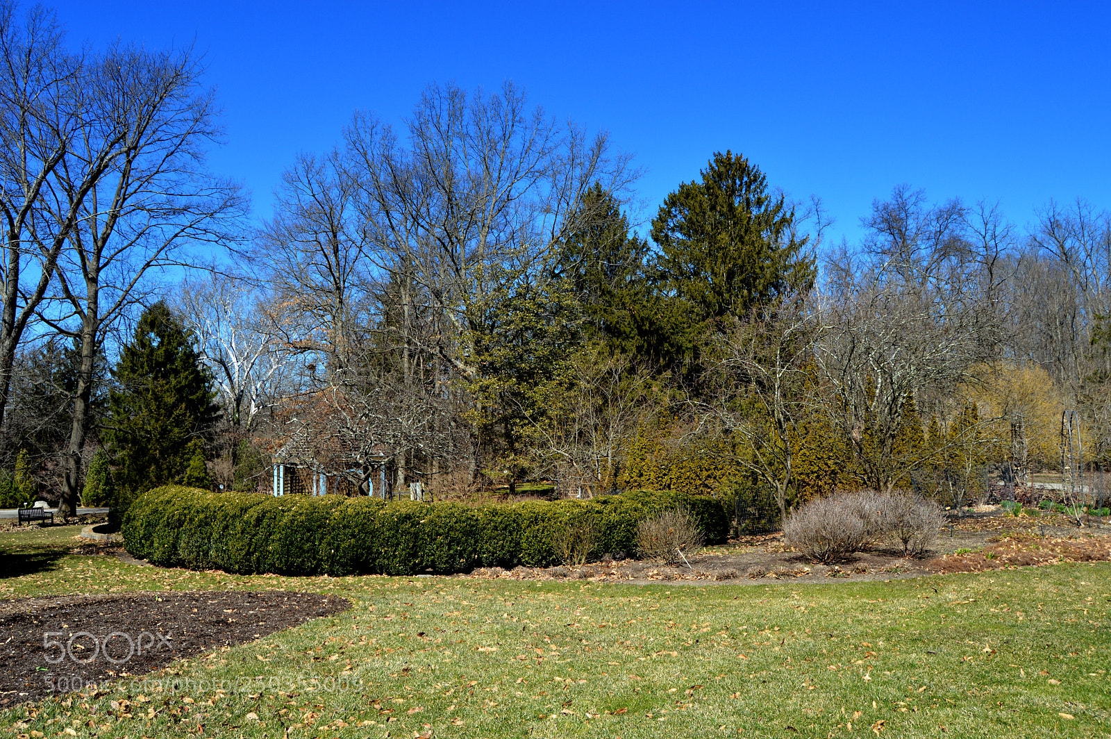 Nikon D3200 sample photo. Herb garden photography