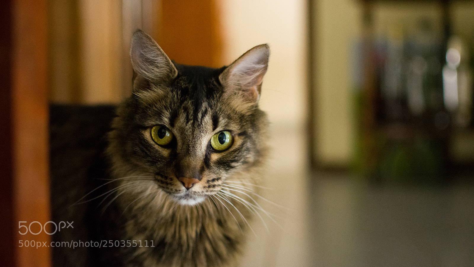 Nikon D7100 sample photo. Untitled photography