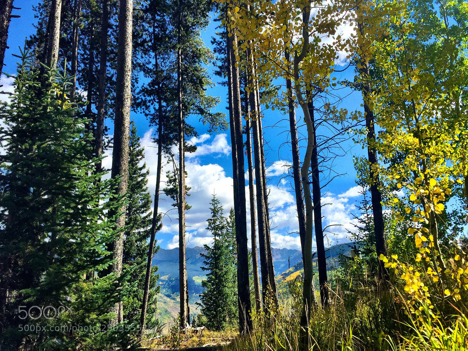Apple iPhone 6 sample photo. Vail, co photography