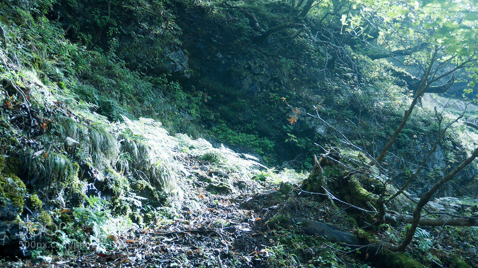 Sony Alpha NEX-5T sample photo. Mt omine in nara photography