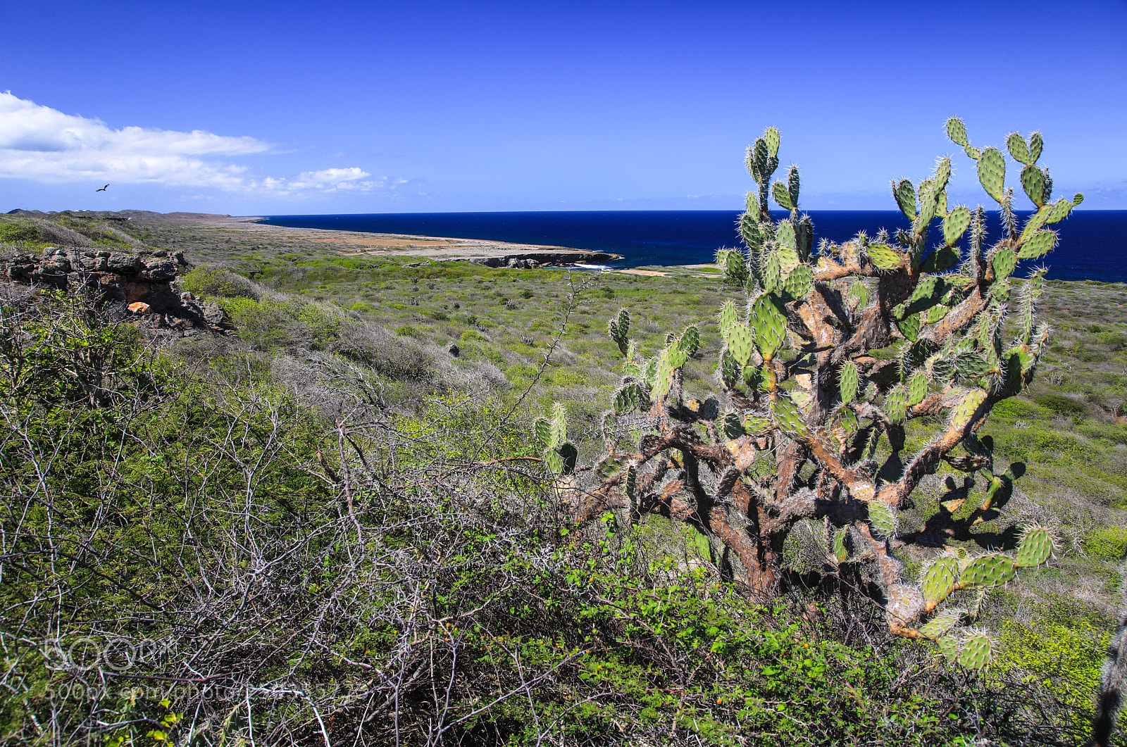 Canon EOS 5D Mark IV sample photo. Curacao 14 photography
