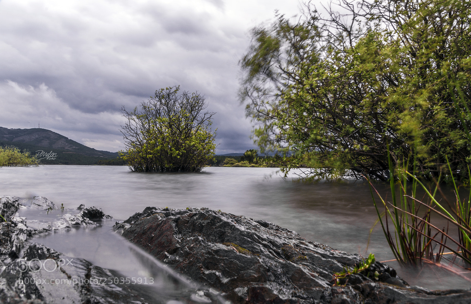 Sony SLT-A58 sample photo. Vida en villameca photography