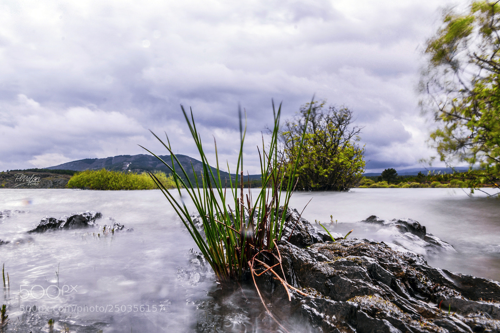 Sony SLT-A58 sample photo. Vida en villameca photography
