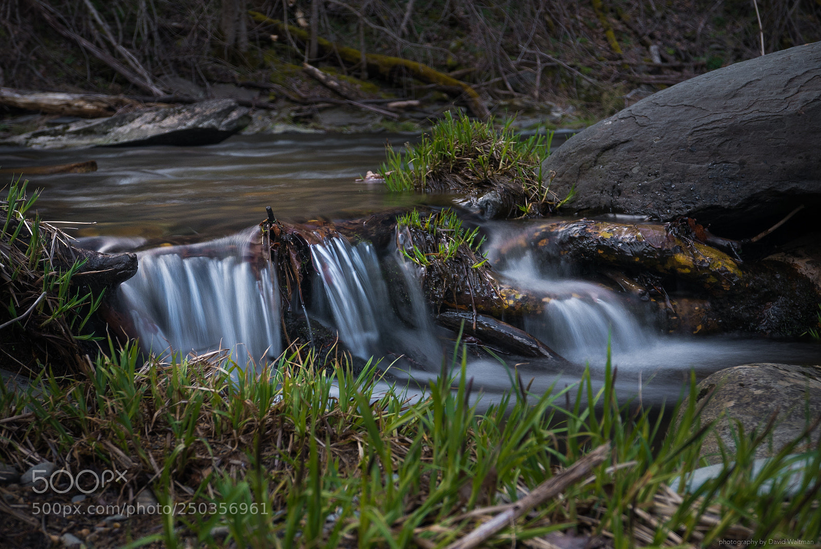 Panasonic Lumix DMC-LX100 sample photo. White oak creek photography