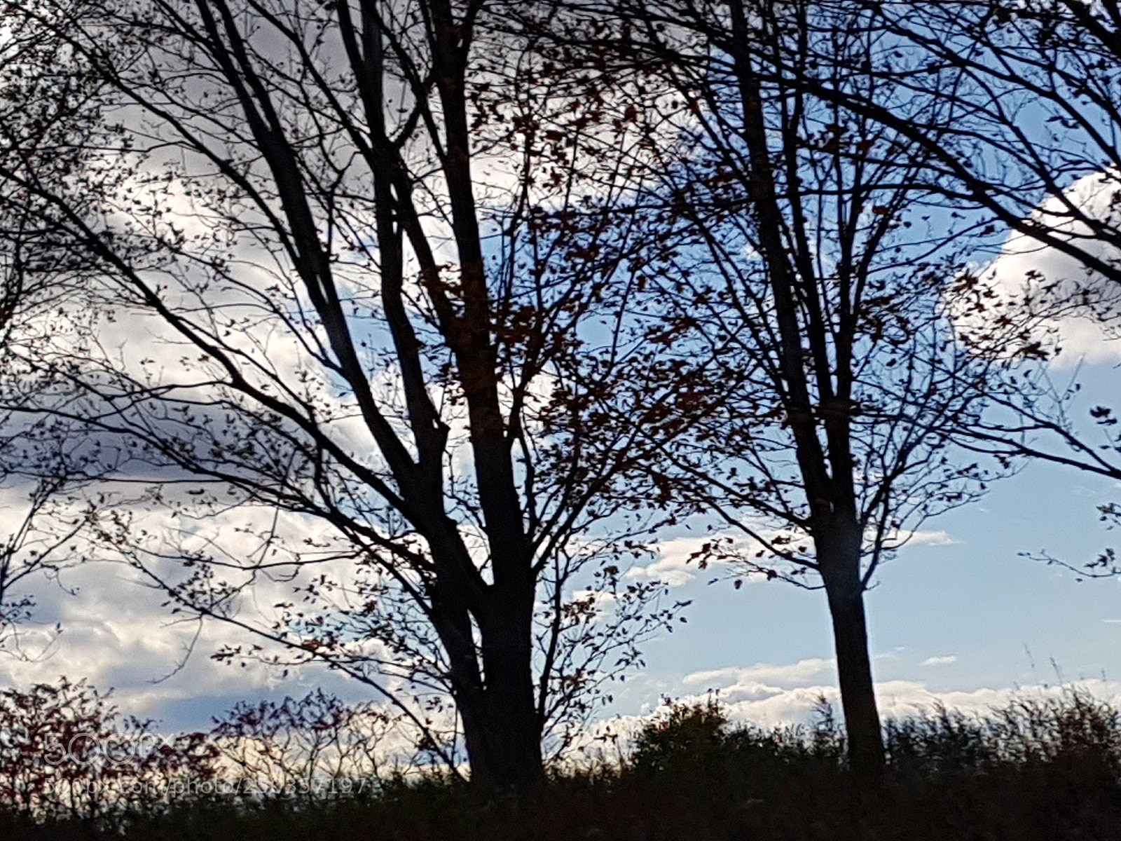 Samsung Galaxy S7 sample photo. Clouds 2 photography