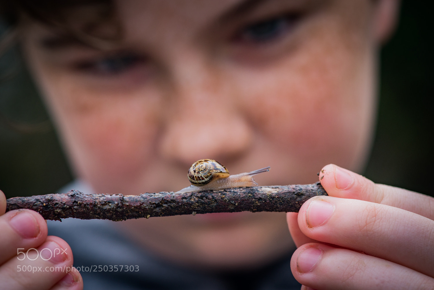 Nikon D610 sample photo. Sammy and her snail photography