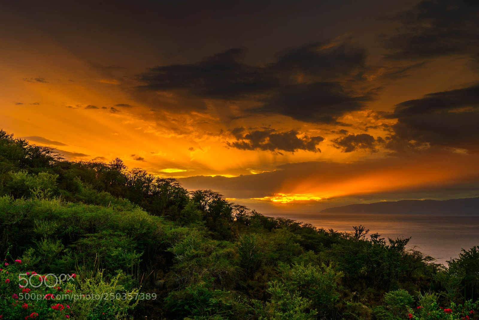 Nikon D800 sample photo. Sunset photography
