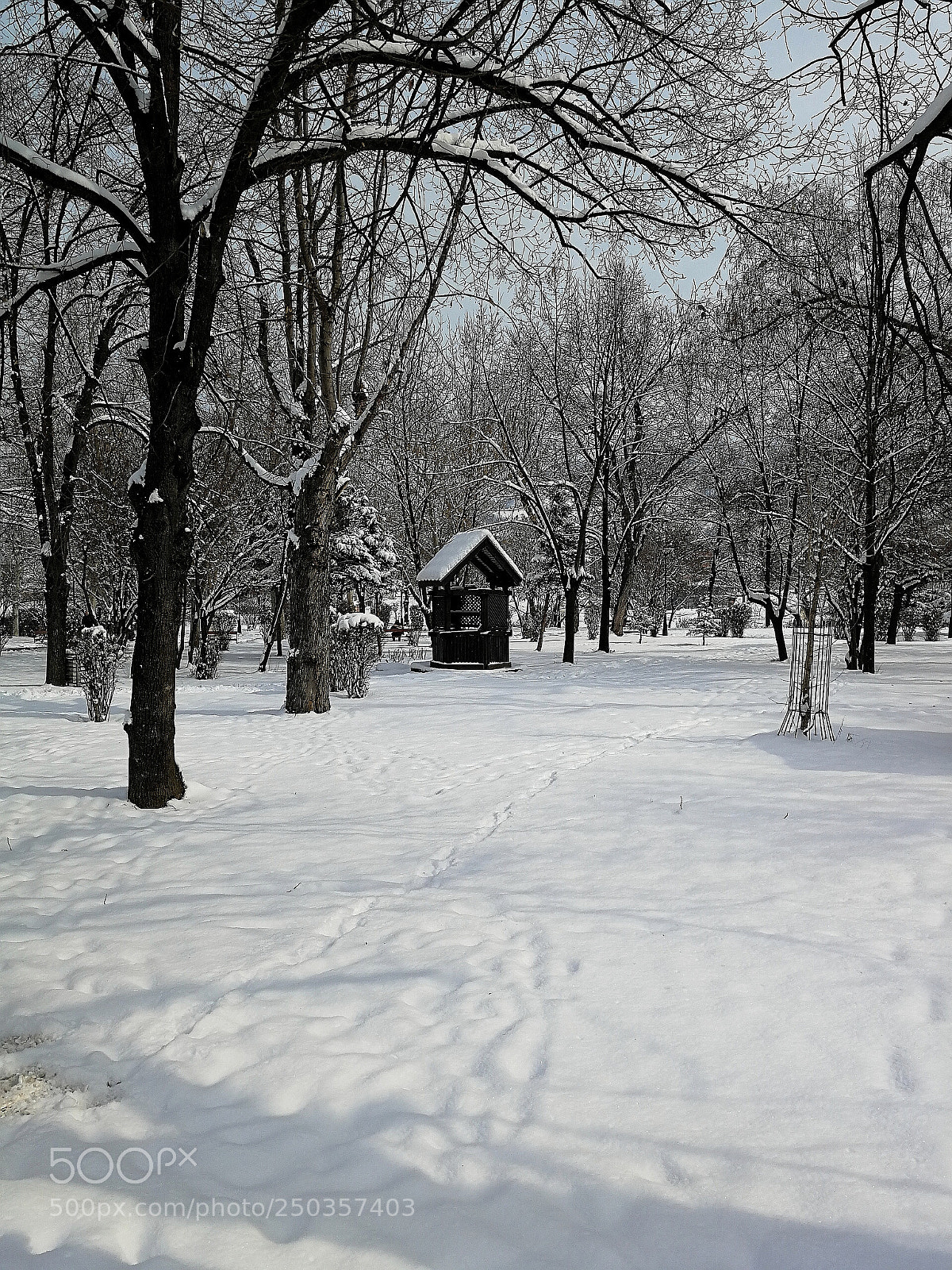 HUAWEI P10 sample photo. Snow park photography