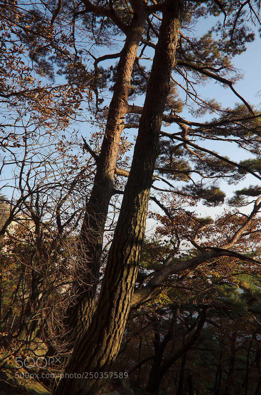 Nikon D7000 sample photo. Shadows photography
