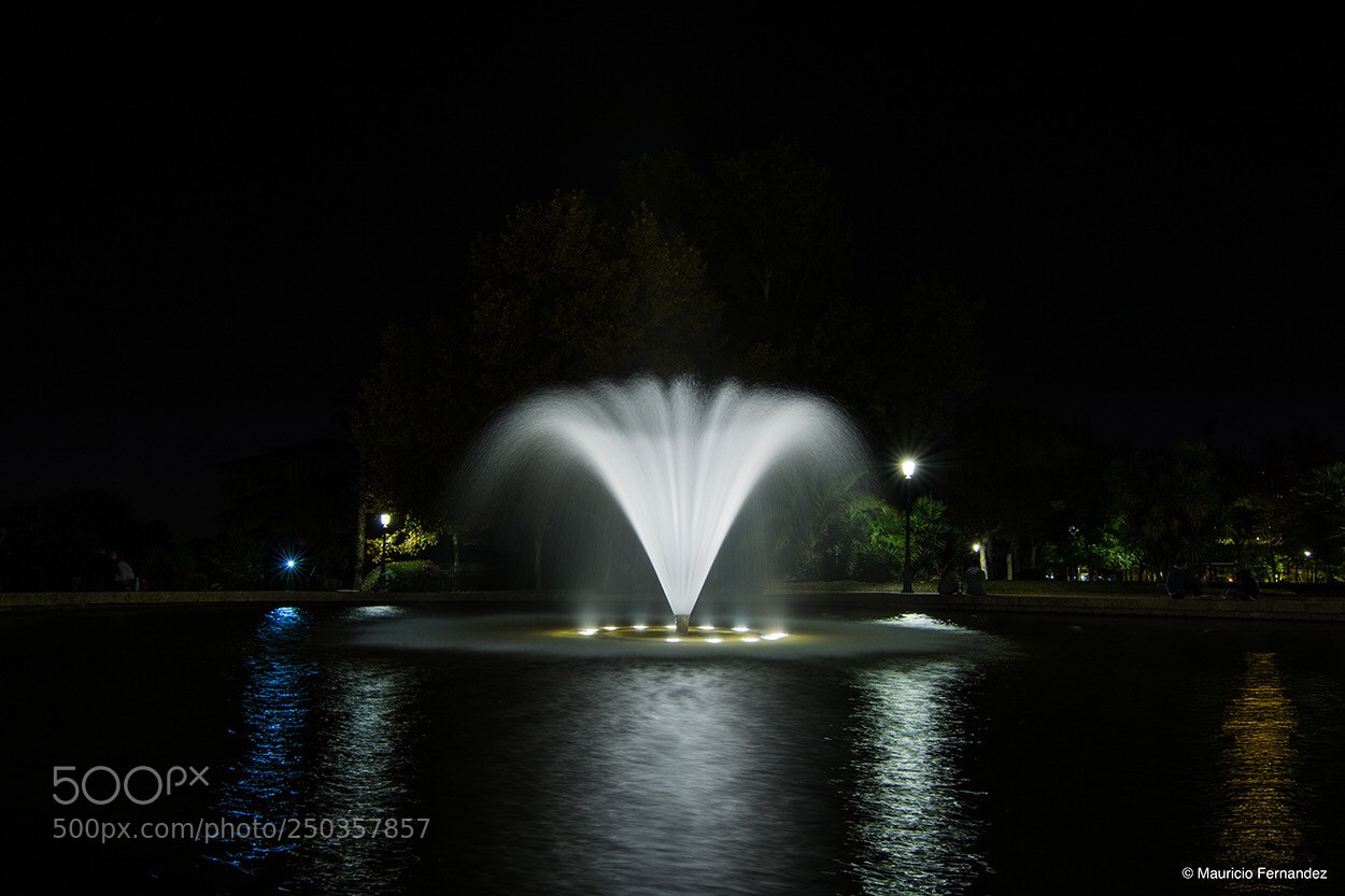 Nikon D7100 sample photo. Fountain of life!!! photography