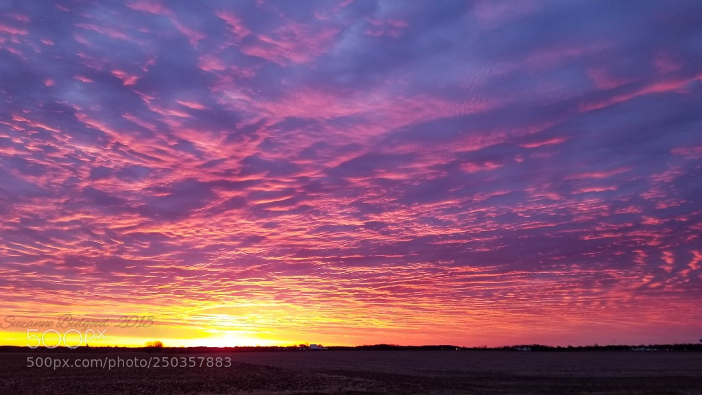 Samsung Galaxy S8 sample photo. Natures painting. photography