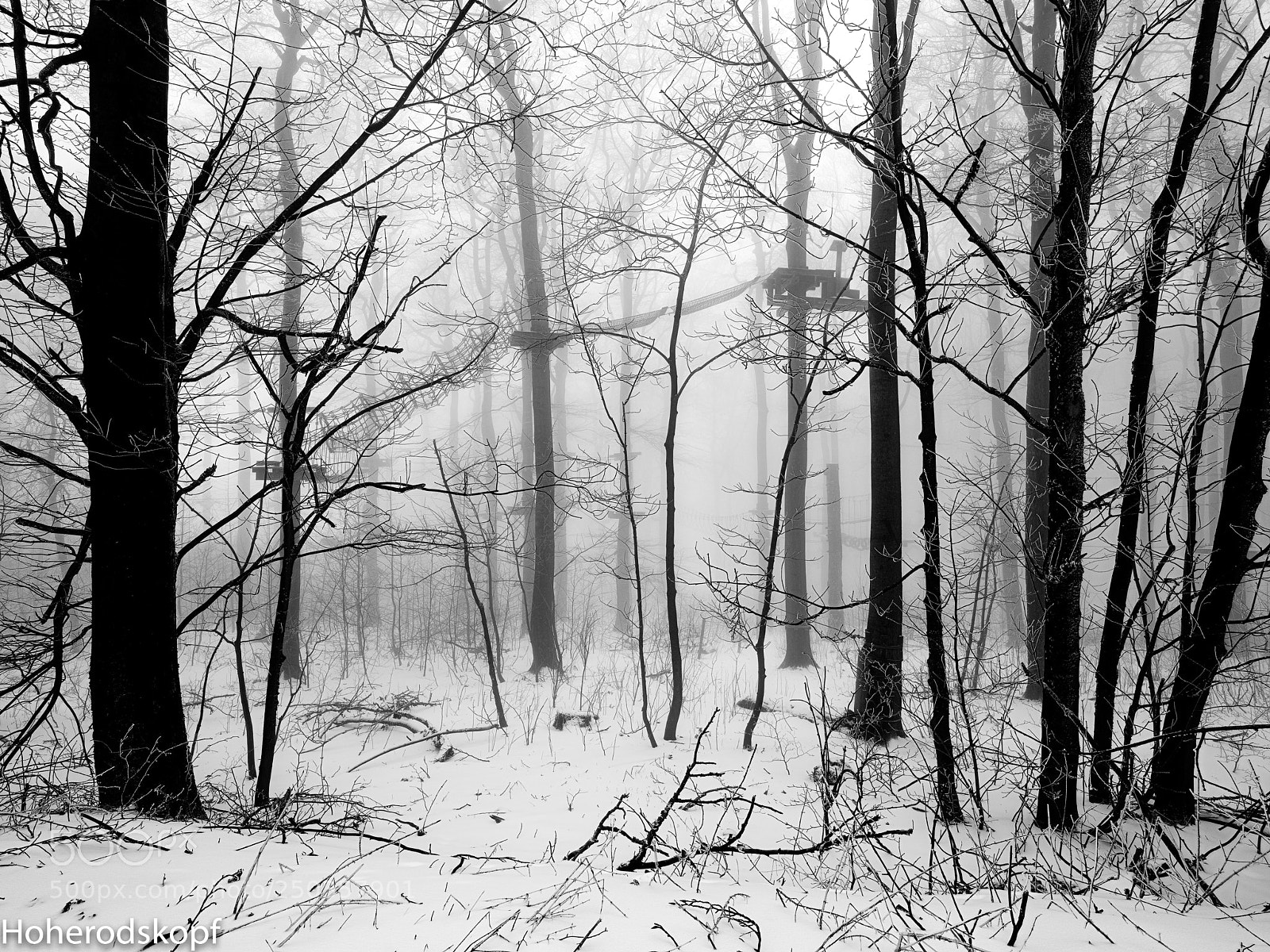 Fujifilm GFX 50S sample photo. Hoherodskopf im schnee photography