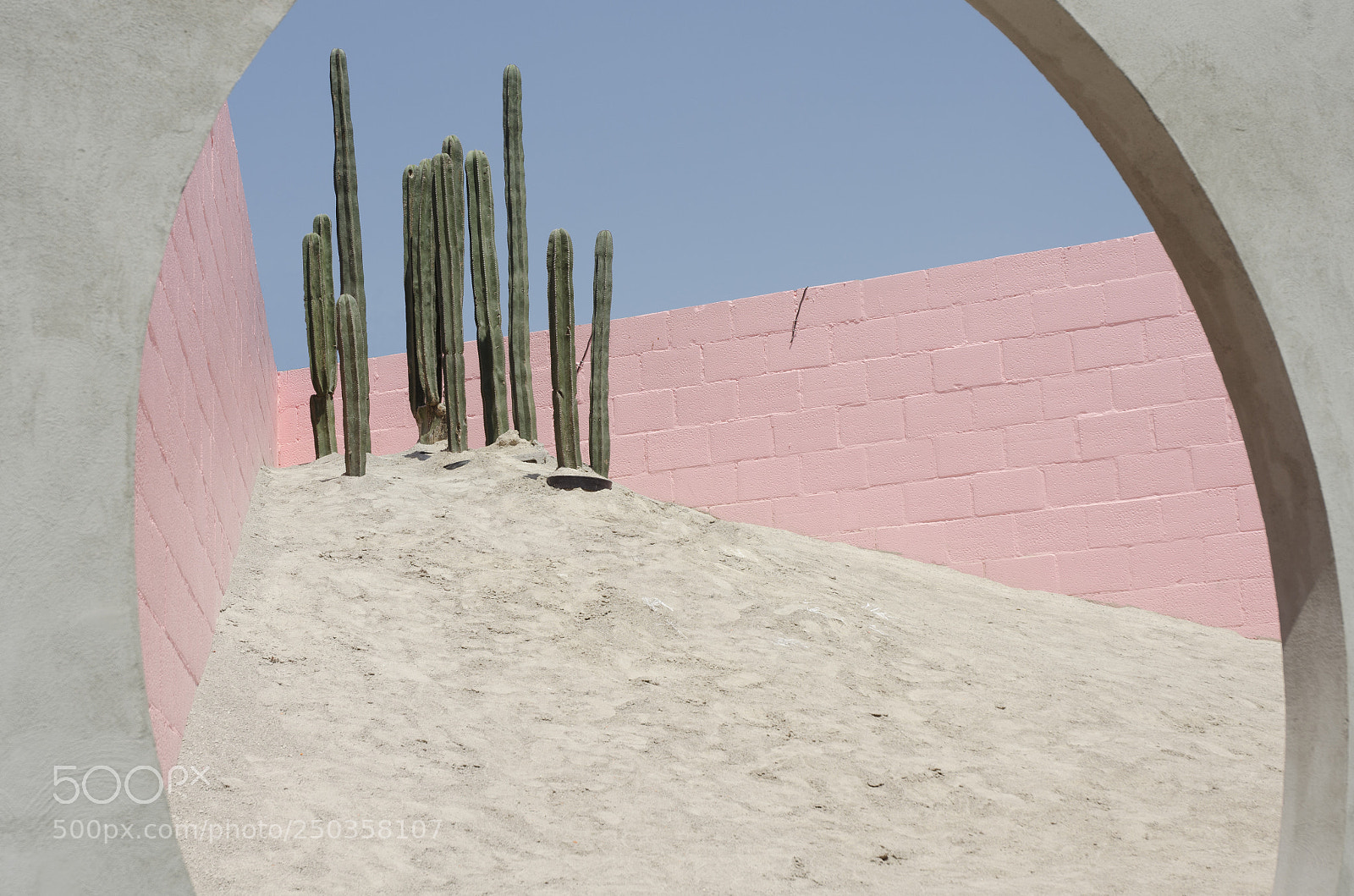 Nikon D5100 sample photo. Colores de méxico photography