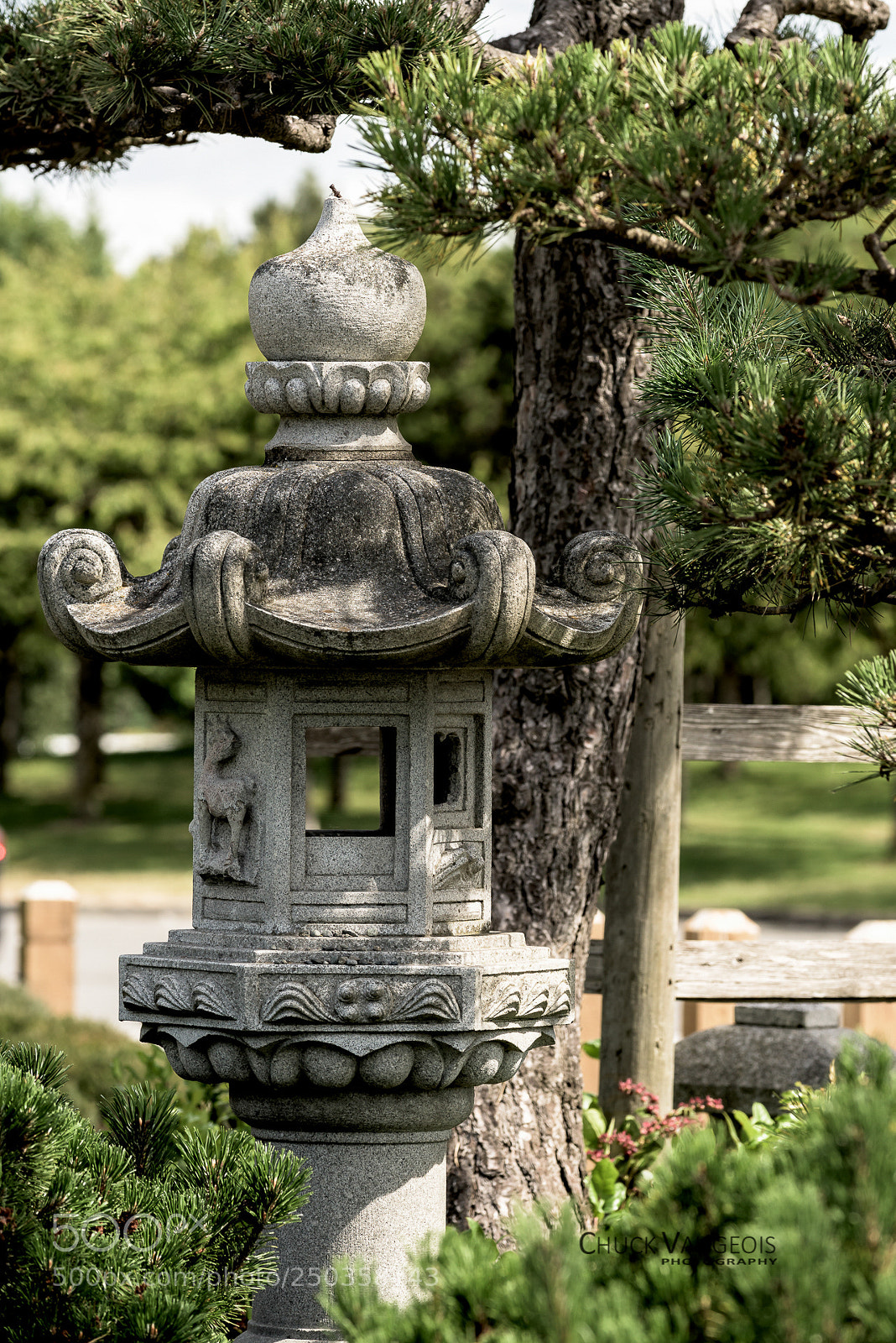 Nikon D810 sample photo. Untitled photography