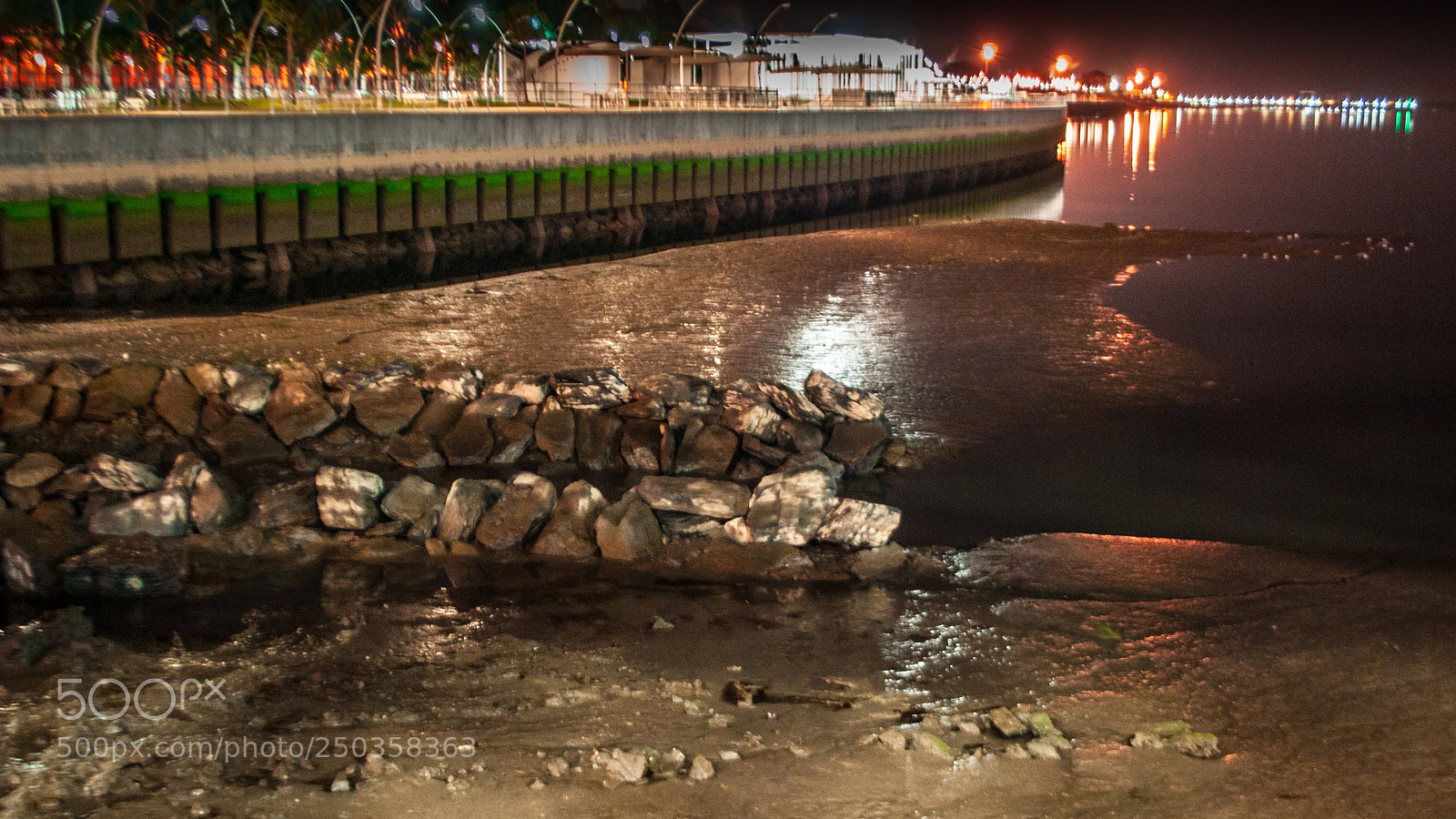 Nikon D3000 sample photo. Night lights photography