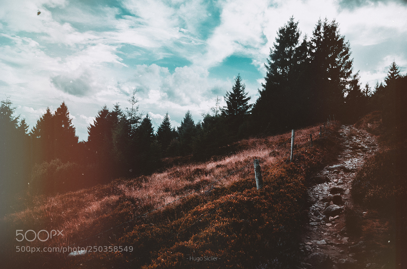 Nikon D5100 sample photo. Road photography
