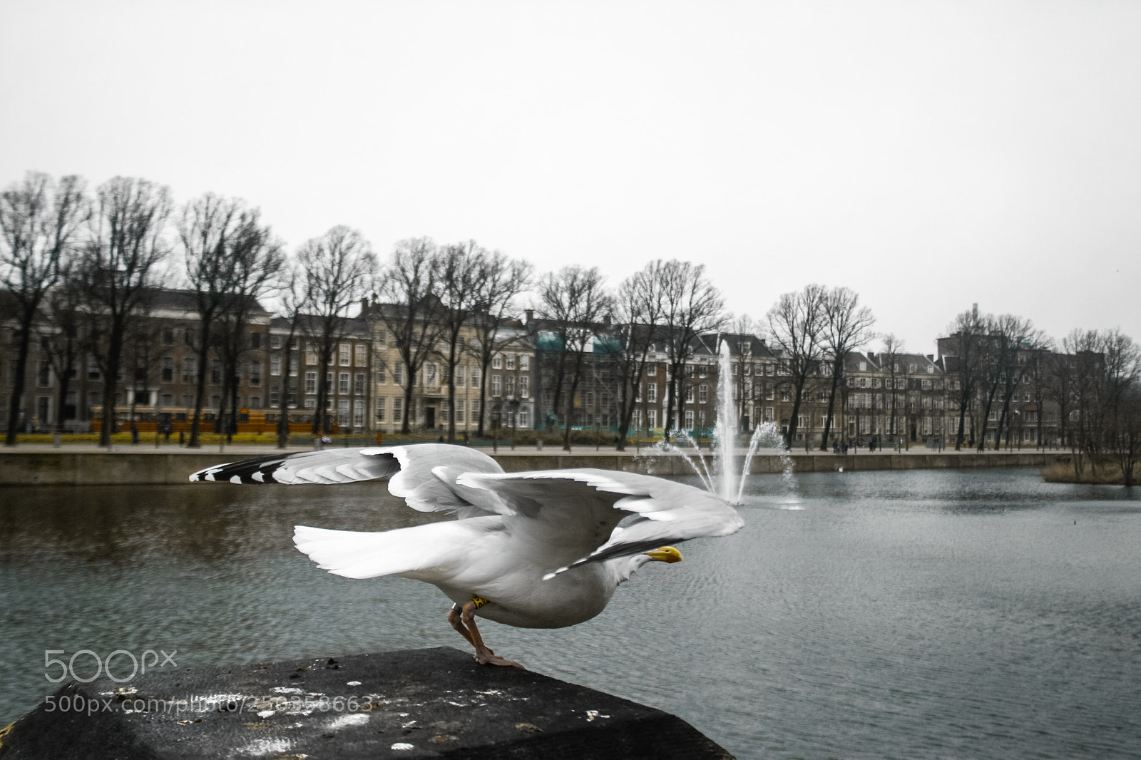 Canon EOS 30D sample photo. Img photography