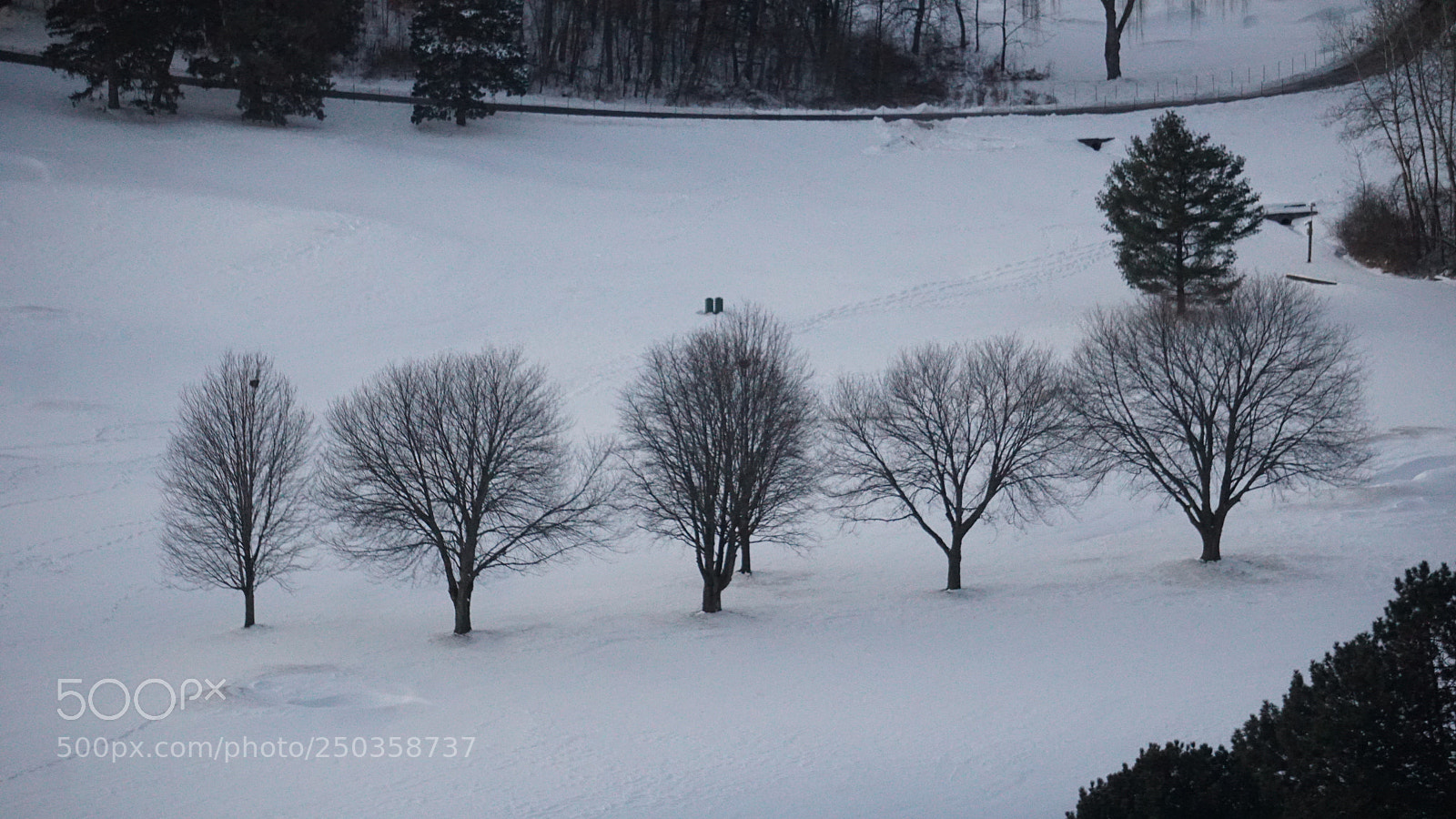 Sony a6300 sample photo. Dsc photography