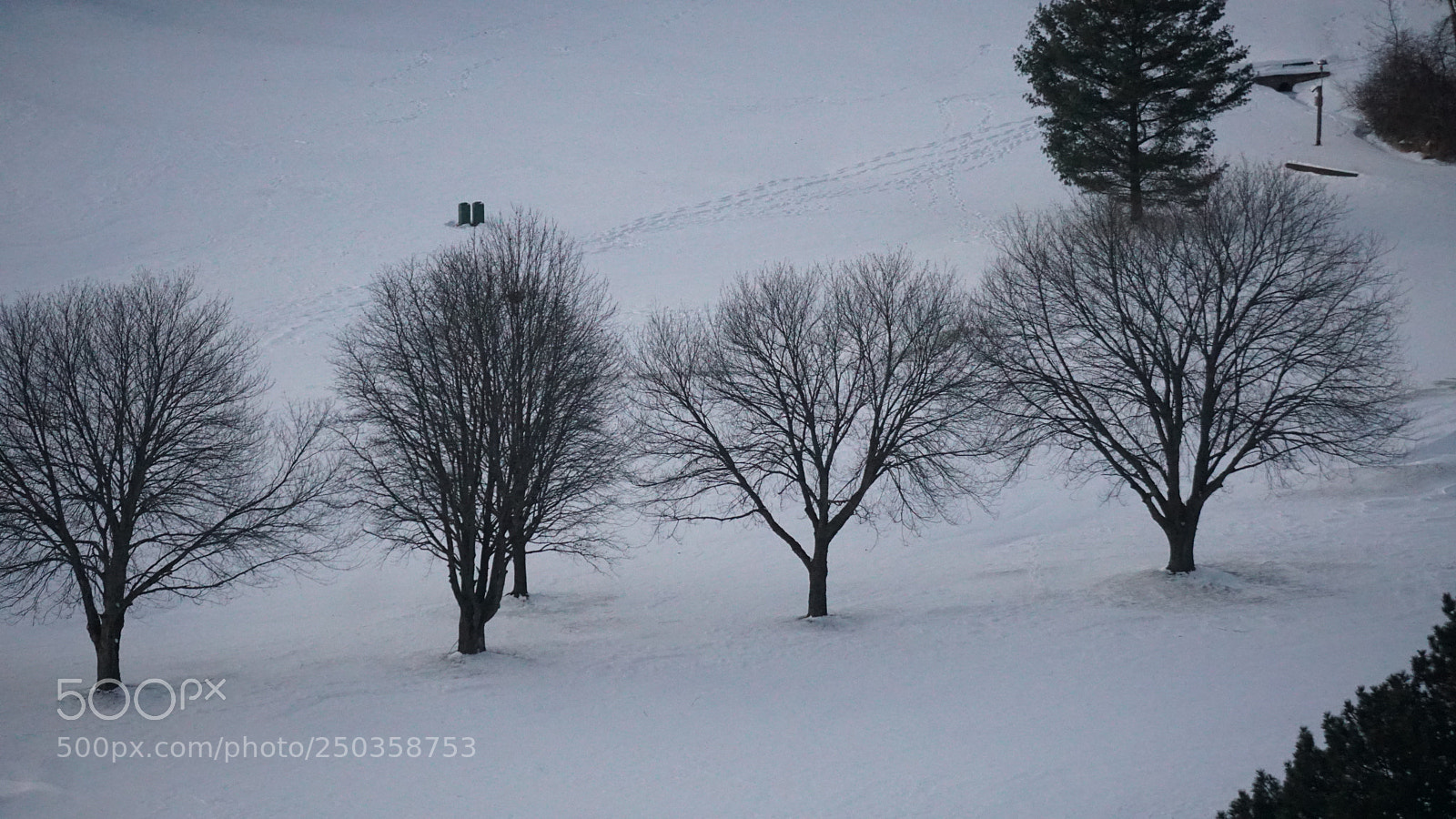 Sony a6300 sample photo. Dsc photography