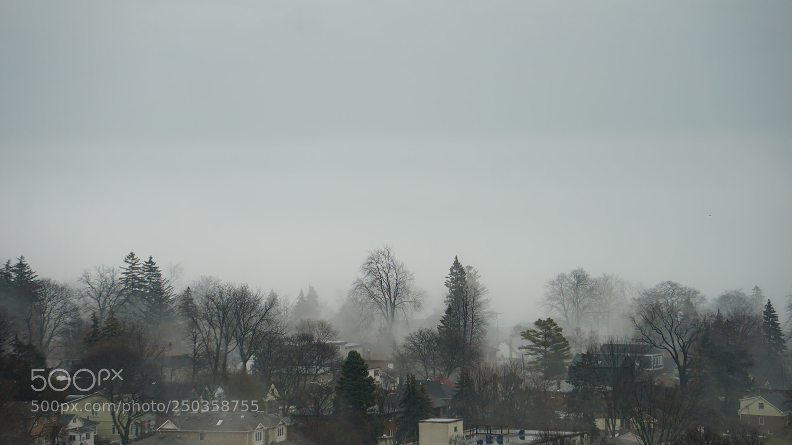 Sony a6300 sample photo. Dsc photography