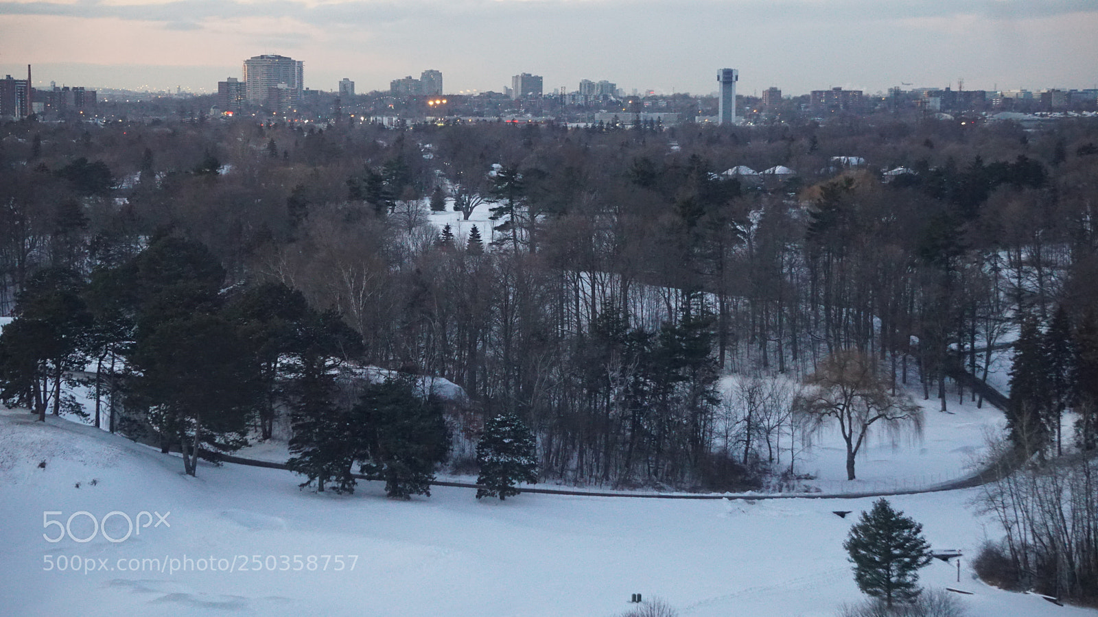 Sony a6300 sample photo. Dsc photography