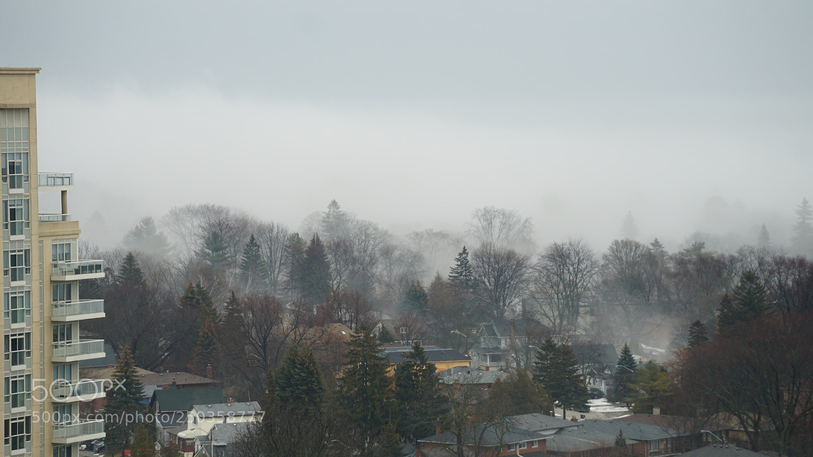 Sony a6300 sample photo. Dsc photography