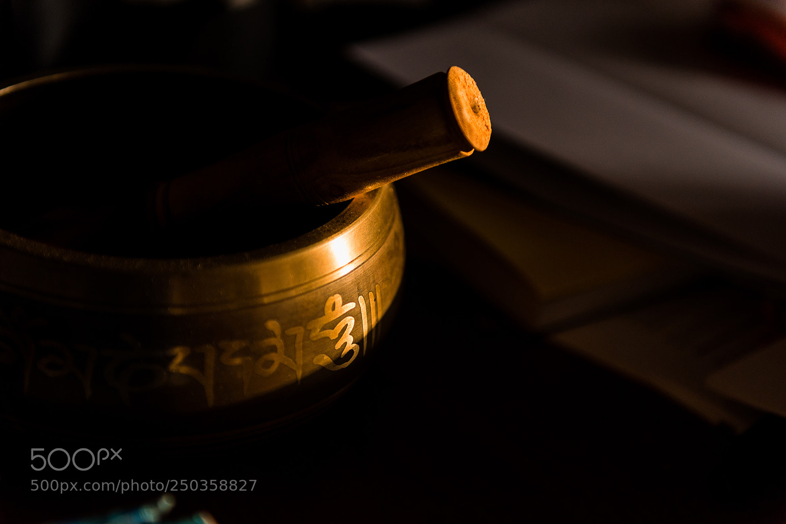 Nikon D810 sample photo. Taking a moment photography