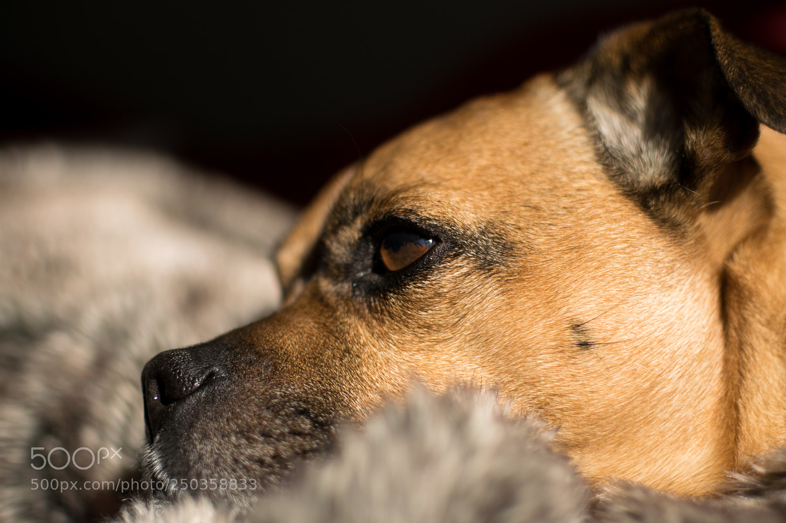 Nikon D5300 sample photo. Untitled photography